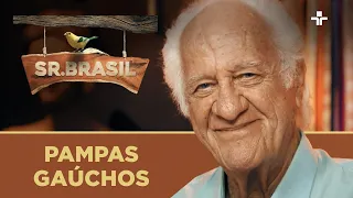 Sr. Brasil - Pampas gaúchos | 21/08/2022