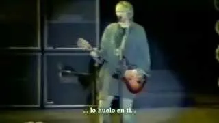 Nirvana - Lounge Act Live In Argentina (Subtitulado-Español)