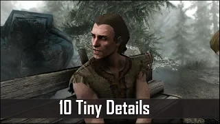 Skyrim: Yet Another 10 Tiny Details That You May Still Have Missed in The Elder Scrolls 5 (Part 33)