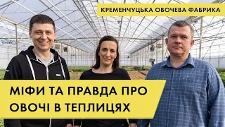 Що потрібно знати про тепличне вирощування овочів: Кременчуцька овочева фабрика | Куркуль