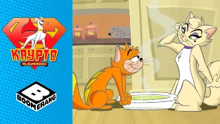 Krypto the Superdog | Bad Cat! | Boomerang UK