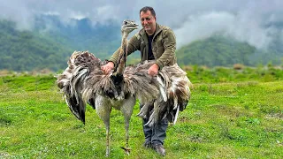 Cooking The Best Unimaginable Recipes In The Mountain Village Of Azerbaijan