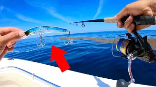 Lure Catches Offshore GIANT! Personal Record!