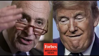 Schumer RIPS Trump as impeachment trial nears