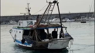 #torredelgreco #porto #pescefresco #pescatori #tradizioni #storia #emanueleamorae
