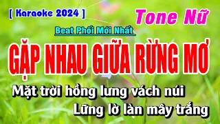 Karaoke Gặp Nhau Giữa Rừng Mơ Tone Nữ | Beat Phối Mới Nhất