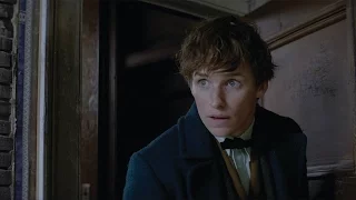 Fantastic Beasts and Where to Find Them | Fan Event Featurette | NL/FR | 2017