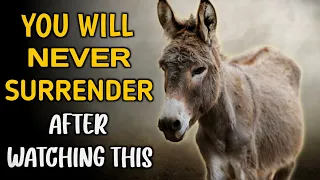 YOU WILL NEVER SURRENDER IN LIFE, AFTER WATCHING THIS | Short motivational story | @wordsofwisdomstories