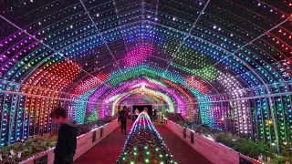 LED Extravaganza in the heart of Tokyo! Digital Vegetables でじべじ by PARTY @ Roppongi Midtown