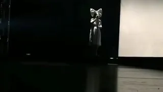 Sia cries during Titanium