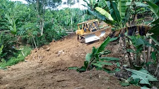 Challenging work D6R XL bulldozer cuts hills to make plantation roads