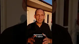 #чудо #волшебство #волшебная #таблетка