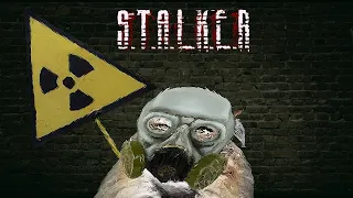 Stalker - Тень Чернобля