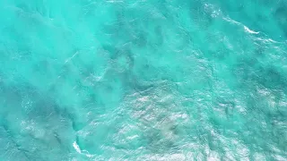 [FREE DRONE FOOTAGE] Sea 003 _ 4K 24fps