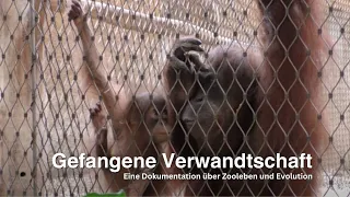 BOG 2024. Gefangene Verwandtschaft. Eine Dokumentation über Zooleben und Evolution