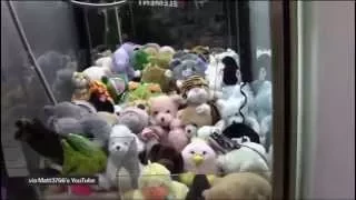 Claw Machines are rigged! Here's how