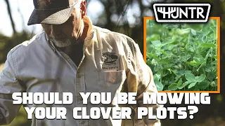 Should you be Mowing Your Clover Plots? - w/ Tom James