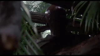 Predator 1 - Headshot