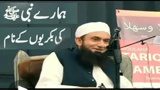 Goat's Name of the Prophet Muhammad saw | Maulana Tariq Jameel Bayan 2019