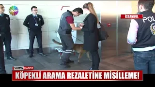 Köpekli arama rezaletine misilleme!