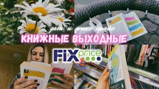 книжные выходные | поездка на дачу🌿 | поход в фикс прайс