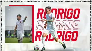 Highlights Rodrigo Andrade - temporada 2023