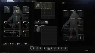 Escape From Tarkov never give a AK to a hatching aftermath.