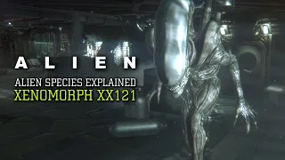 The Xenomorph XX121 - Alien Species Explained