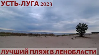 УСТЬ-ЛУГА 2023/КУРГАЛЬСКИЙ ЗАКАЗНИК/ПИКНИК