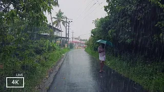 ASMR Rain Walks Compilation | Satisfying Noises to Help You Sleep| Monsoon Rain Sound for Meditation