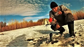 ТАК ЖЕРЛИЦЫ МЫ ЕЩЕ  НЕ СТАВИЛИ ! РЫБАЛКА НА ЖЕРЛИЦЫ НА СТАРОМ ДОБРОМ МЕСТЕ!