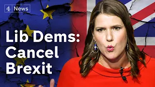 Liberal Democrats launch plan to cancel Brexit