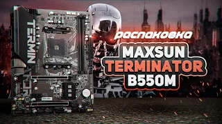 MAXSUN Terminator B550M распаковка