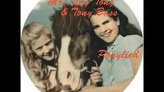 Mr Ting Tong & Tony Bass - Ponylied