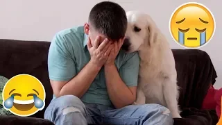 Funny Dog Reaction to me Crying - PRANK (BEST REACTION EVER)