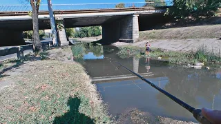 Поймаю ли я здесь судака со щукой? Микроджиг в городской речке Бык в Кишинёве