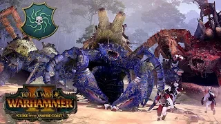 VAMPIRE COAST ROSTER REVEALED - Analysis, Theory Crafting // Total War: Warhammer II News