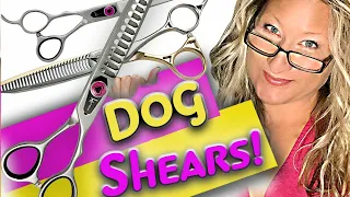 How to TRIM your DOG with SHEARS the right way!