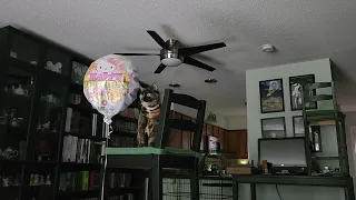 Captain investigates the Doom Balloon!