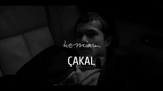 ÇAKAL (2010) BAŞTAN SONA