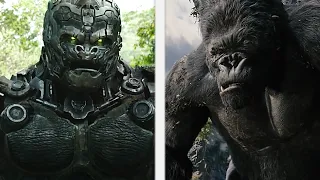 Optimus Primal meets King Kong