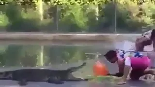 Crocodile prank very funny