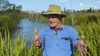 How to build resilience to #bushfires with regenerative agriculture - Farmer Martin Royds