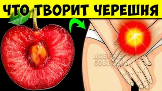 Вот что творит Черешня с организмом! Никогда Не выбрасываю Листья, Хвостики, Веточки...