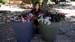 TruDrop Self Watering Containers! // Garden Answer