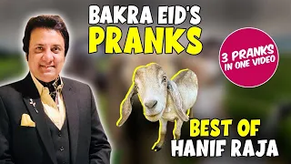 Bakra Eid's Pranks | Best Of Hanif Raja