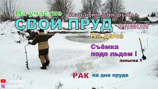 Пруд на участке. Треснул лёд🤦‍♂️ провалился. Камера на дне. Увидел🕵️‍♂️рака в своём в пруду на даче🦞