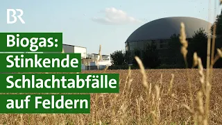 Illegale Geschäfte: Landwirte entsorgen Schlachtabfälle in Biogasanlagen, Doku | Unser Land | BR