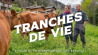 Extrait TRANCHES DE VIE – Épisode 4 – Hommes et vaches