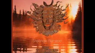 Shpongle 🌀 Remixed (Full Album)